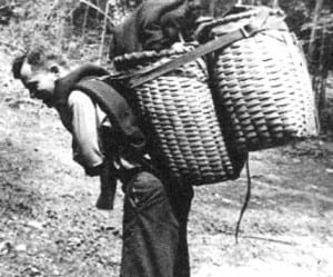 Loaded with packs for Wolf Jaw Camp, late 1940s.