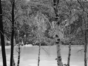 Chapel Pond Ice Storm.