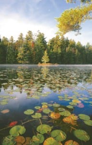 St. Regis River with Lily Pads