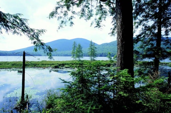 Formerly owned by Finch, Pruyn & Co., Pickwacket Pond is now protected by a conservation easement.