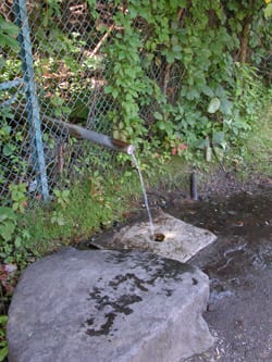 king-phillips-pipe The King Phillips Spring before the pipe was removed. Photo by Phil Gallos.
