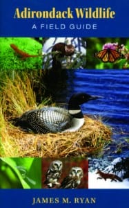 University of New England Press, 2009 Softcover, 296 pages, $24.95