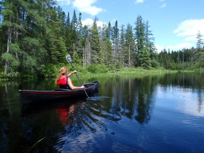 A favorite paddle