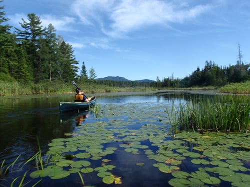 Canoeing the Deer River Flow