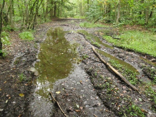 atv-slop ATV damage on the trail to Gull Lake. Photo by Phil Brown.