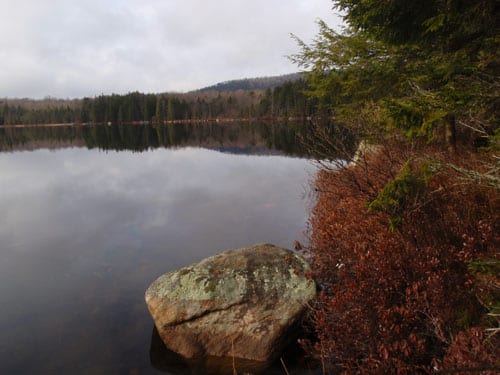 Running around Moss Lake