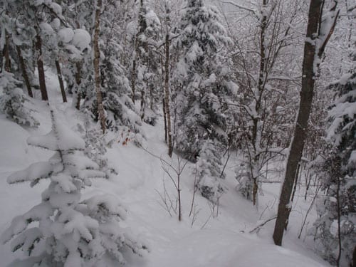 Adirondack backcountry ski video: take 2