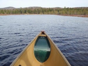 The view from my canoe on Saturday. 