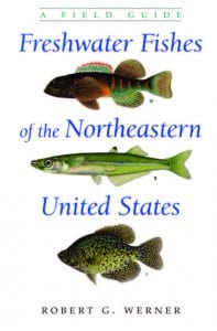 Freshwater Fishes of the Northeastern United States: A Field Guide By Robert G.Werner Syracuse University Press, 2004 Hardcover, 280 pages, $49.95