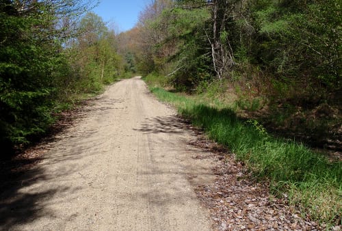 Indian River road web Indian River Road in the Moose River Plains. Photo by Phil Brown.