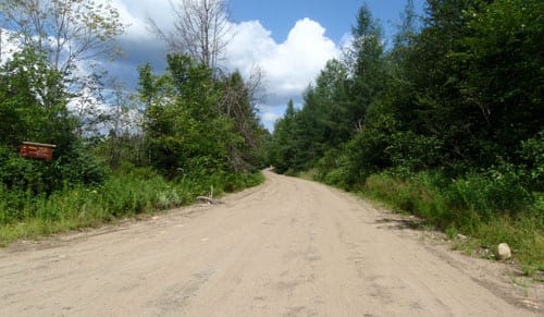 Main road The main road in the Moose River Plains. Photo by Phil Brown.