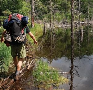 Jack draws on his tightrope skills while crossing a beaver dam.