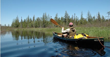 lila Phil Brown paddles on Shingle Shanty Brook.