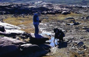 Scientists collect a water sample from a dried-up pond in the Arctic.