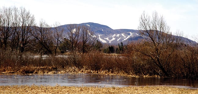 The homes would be built near the Big Tupper Ski Area on Mount Morris.