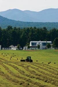 Asgaard Farm. Photo by Nancie Battaglia