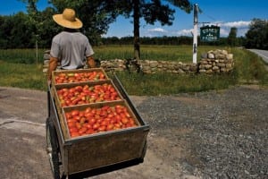 Essex Farm caters to customers who want locally grown vegetables.