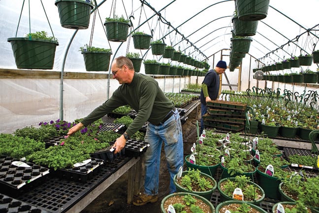 Rob Hastings, left, uses greenhouses and “hoop houses” to extend the growing season at Rivermede Farm in Keene Valley.