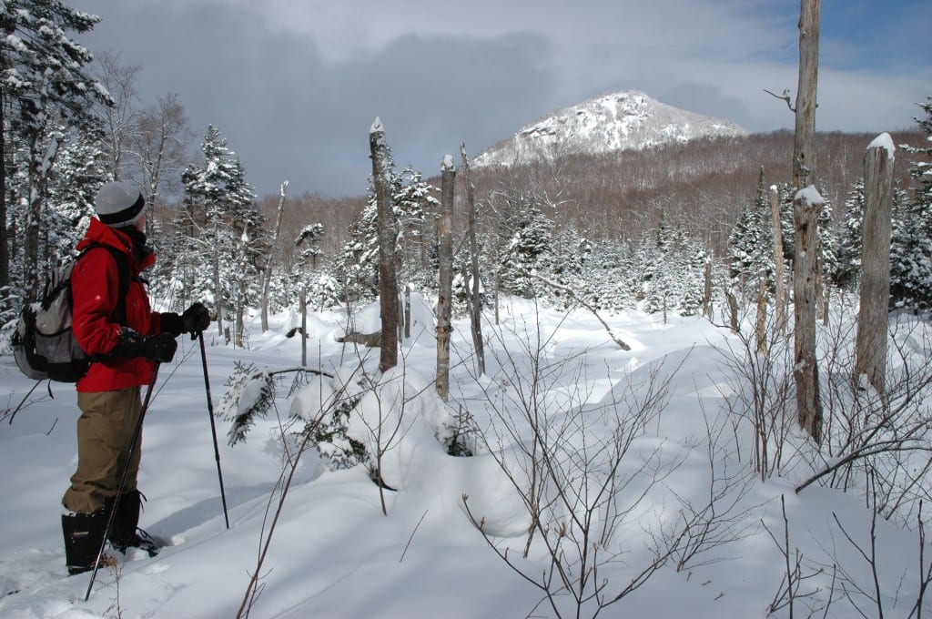 Michelle Hannon admires the view of Peaked Mountain from a snow-covered wetland along the trail. Photo by Susan Bibeau