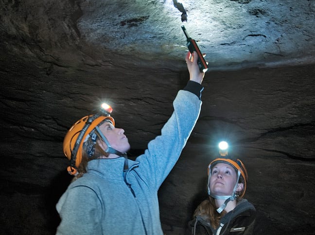 Researcher Kate Langwig measures the humidity near a bat in an old mine in Hague in January.Researcher Kate Langwig measures the humidity near a bat in an old mine in Hague in January. Photo by Carl Heilman II