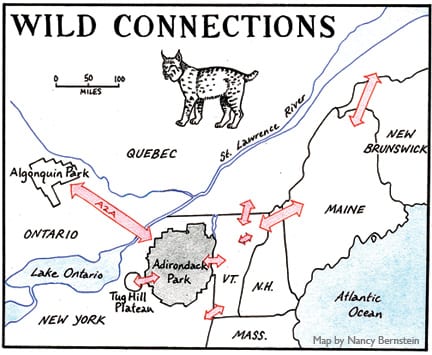 Wildlife corridor map