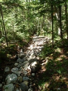 Eroded trail above Marcy Dam. Photo by Phil Brown.