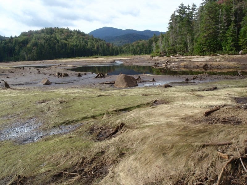 Panther Duck Hole a few days after Irene breached the dam. Photo by Phil Brown.