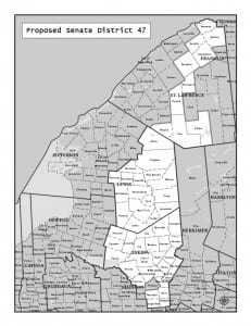 The proposed district of State Senator Joseph Griffo. 