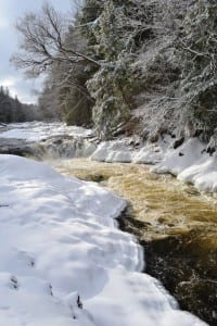 raquettefalls.wilson