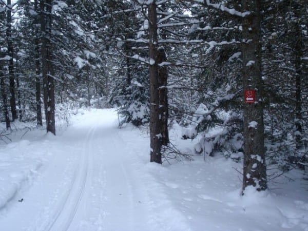 Worst winter ever for Jackrabbit skiers