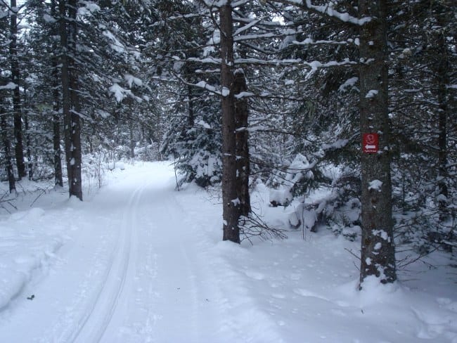 Jackrabbit Ski Trail in Lake Placid Jackrabbit Ski Trail in Lake Placid
