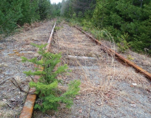 The rail line to Tahawus has not been used since 1989.