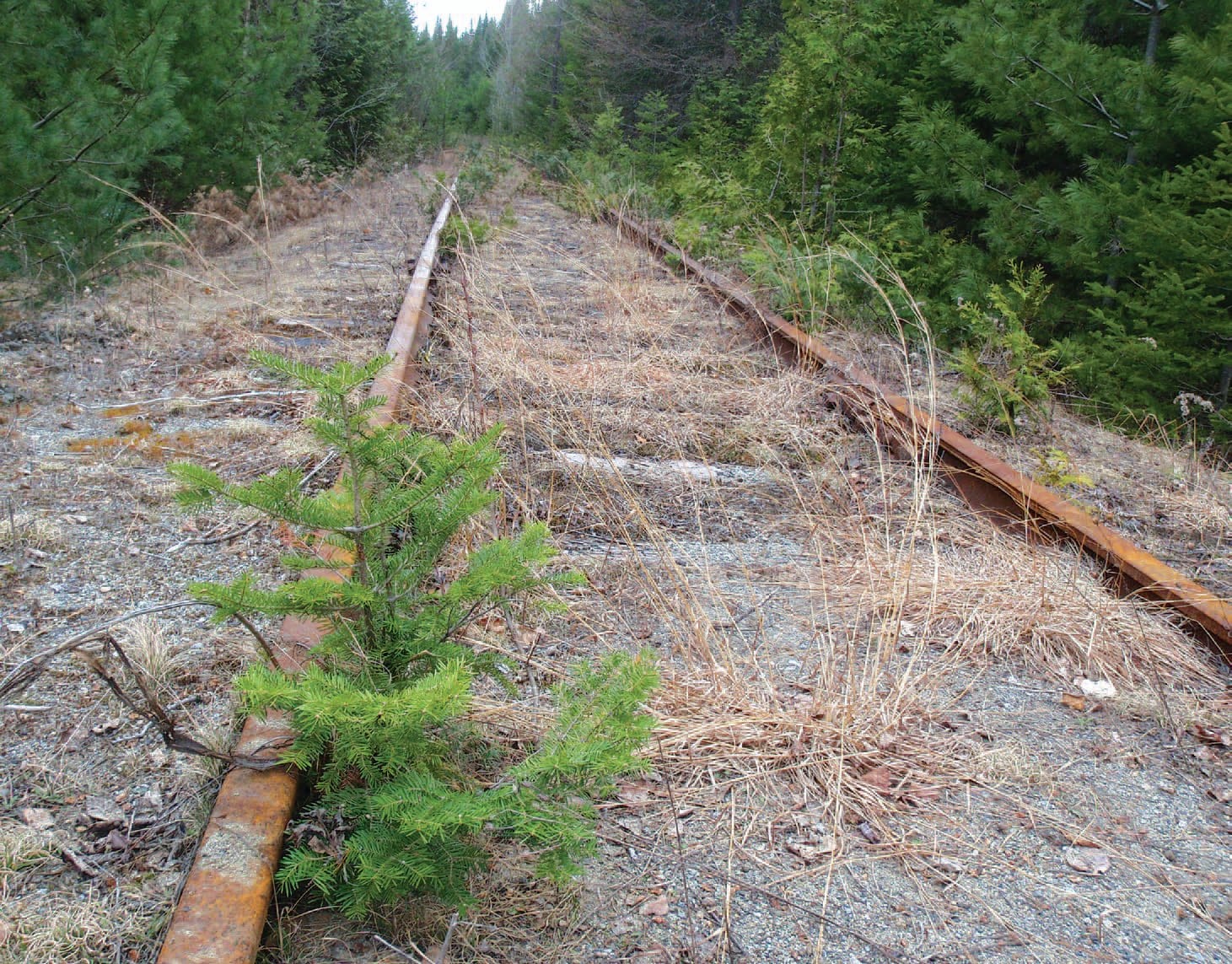 Tahawus rail in the Adirondacks