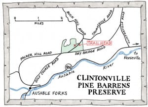 pinebarrrens