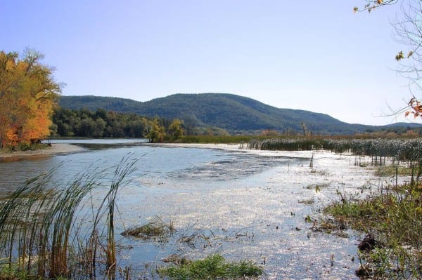 Chubbs Dock wetlands on southern Lake Champlain. Photo from NYSDEC.