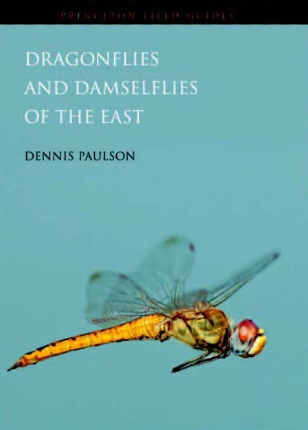 Dragonflies and Dameselflies of the East