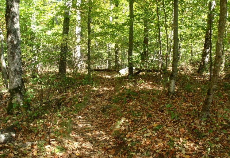Baker Mountain trail in Saranac Lake.