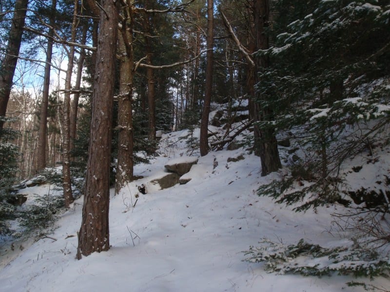 Baker Mountain in Saranac Lake