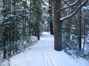 VIC-trail-photo