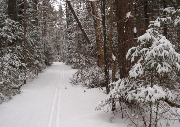 The Jackrabbit Ski Trail on the way to McKenzie Pond. Photo by Phil Brown.