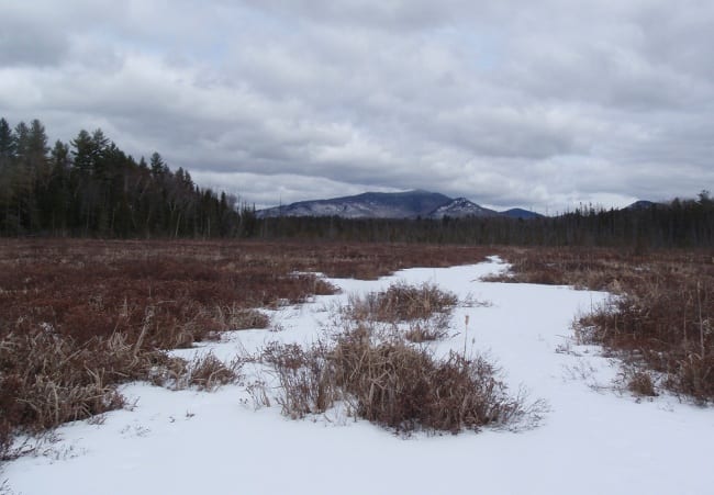 Oseetah Marsh on Monday, looking toward McKenzie Mountain. Photo by Phil Brown.
