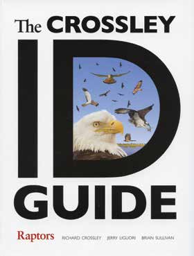 The Crossley ID Guide: Raptors Richard Crossley, Jerry Liguori & Brian Sullivan Princeton University Press, 2013 Softcover, 304 pages, $29.95