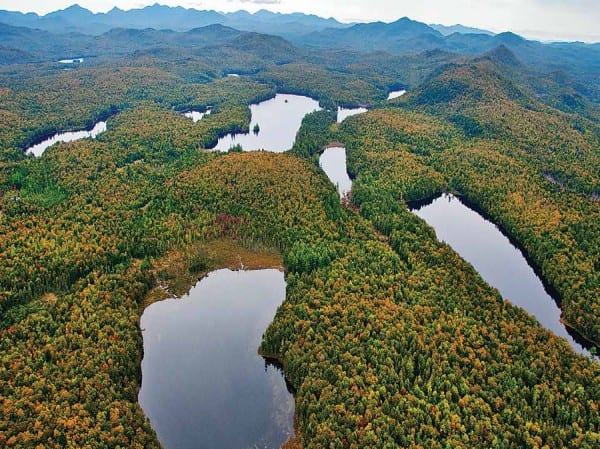 The state’s purchase of the Essex Chain Lakes and other lands sparks thoughts on wilderness. Photo by Carl Heilman ll
