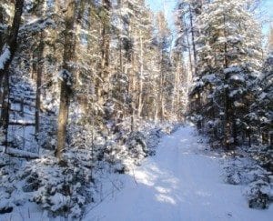 The Moose Pond trail.