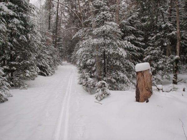 Fresh Powder Just What Jackrabbit Trail Needed