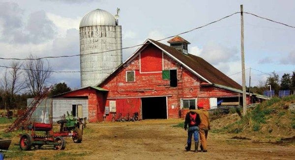 Mace Chasm Farm in Keeseville is one of several new farms in the Champlain Valley. Photo by Emily Schmitt