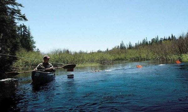 Phil Brown paddles near a cable on Shingle Shanty Brook in May 2009. Photo by Susan Bibeau