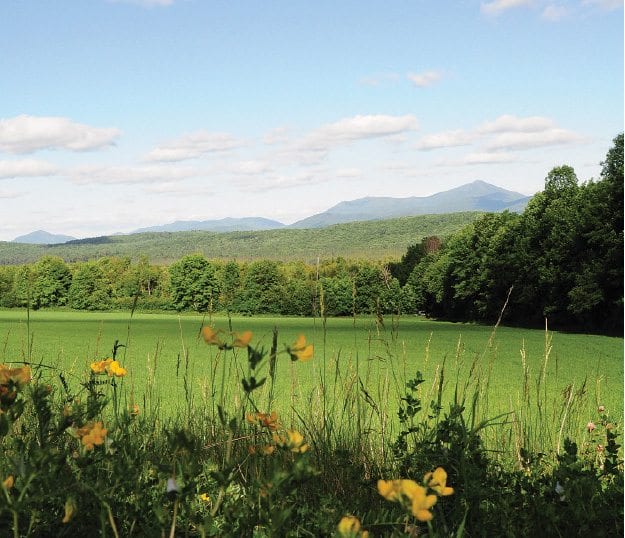 arm fields in Gabriels. PHOTO BY SUSAN BIBEAU