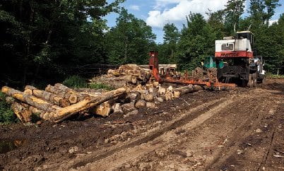 The timber industry remains an important part of the regional economy.   PHOTO BY  NANCIE BATTAGLIA