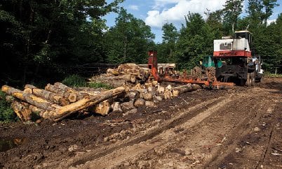 The timber industry remains an important part of the regional economy. PHOTO BY NANCIE BATTAGLIA